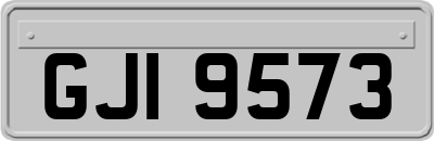GJI9573