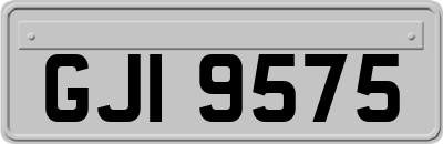 GJI9575