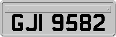 GJI9582