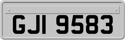 GJI9583
