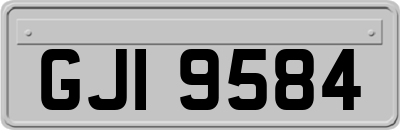 GJI9584
