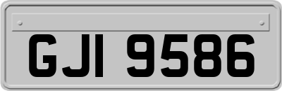 GJI9586