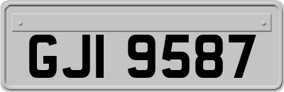 GJI9587
