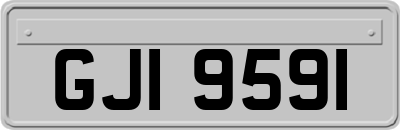 GJI9591