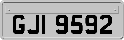 GJI9592