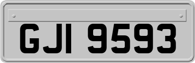 GJI9593