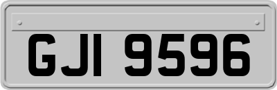 GJI9596