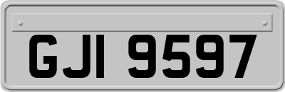 GJI9597