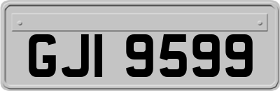 GJI9599