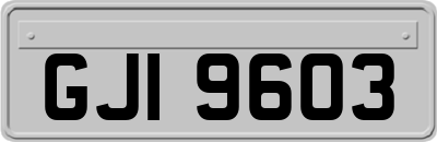GJI9603
