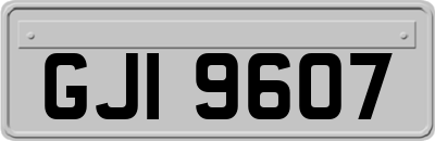GJI9607