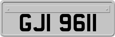GJI9611