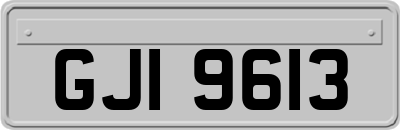 GJI9613