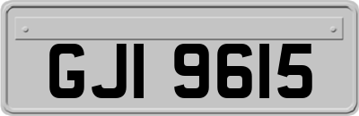 GJI9615