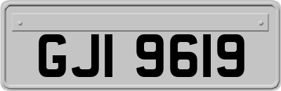 GJI9619