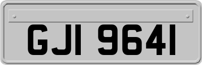 GJI9641