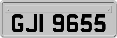 GJI9655