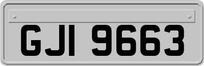GJI9663