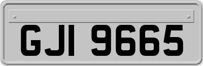 GJI9665