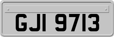 GJI9713