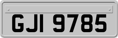 GJI9785