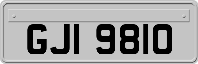 GJI9810