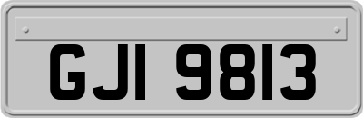 GJI9813