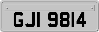 GJI9814