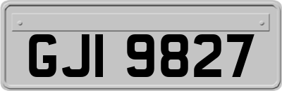GJI9827