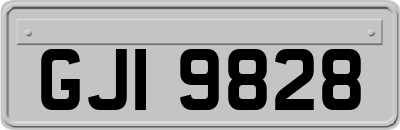 GJI9828