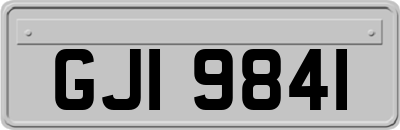 GJI9841