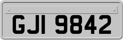 GJI9842