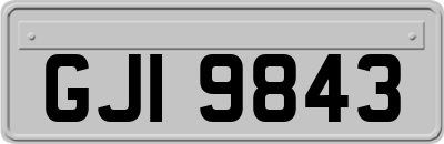 GJI9843