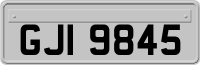 GJI9845