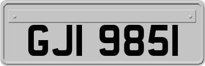 GJI9851