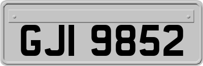 GJI9852