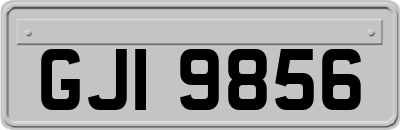 GJI9856