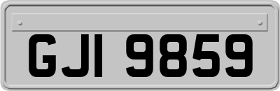 GJI9859