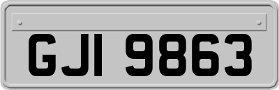 GJI9863
