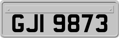 GJI9873