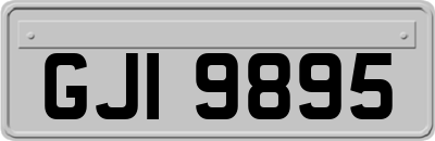 GJI9895