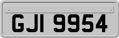 GJI9954