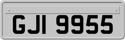 GJI9955