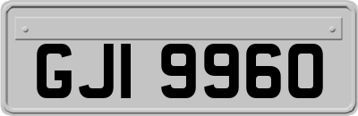 GJI9960