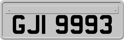 GJI9993