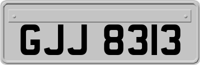 GJJ8313