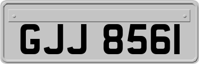 GJJ8561