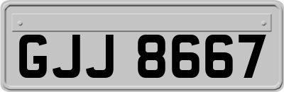 GJJ8667