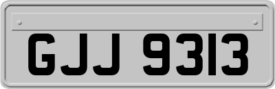 GJJ9313