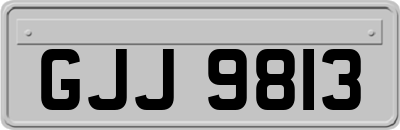 GJJ9813